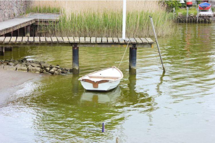 Hausboot Fjord Ankerplatz Mit Biosauna In Schleswig Ngoại thất bức ảnh